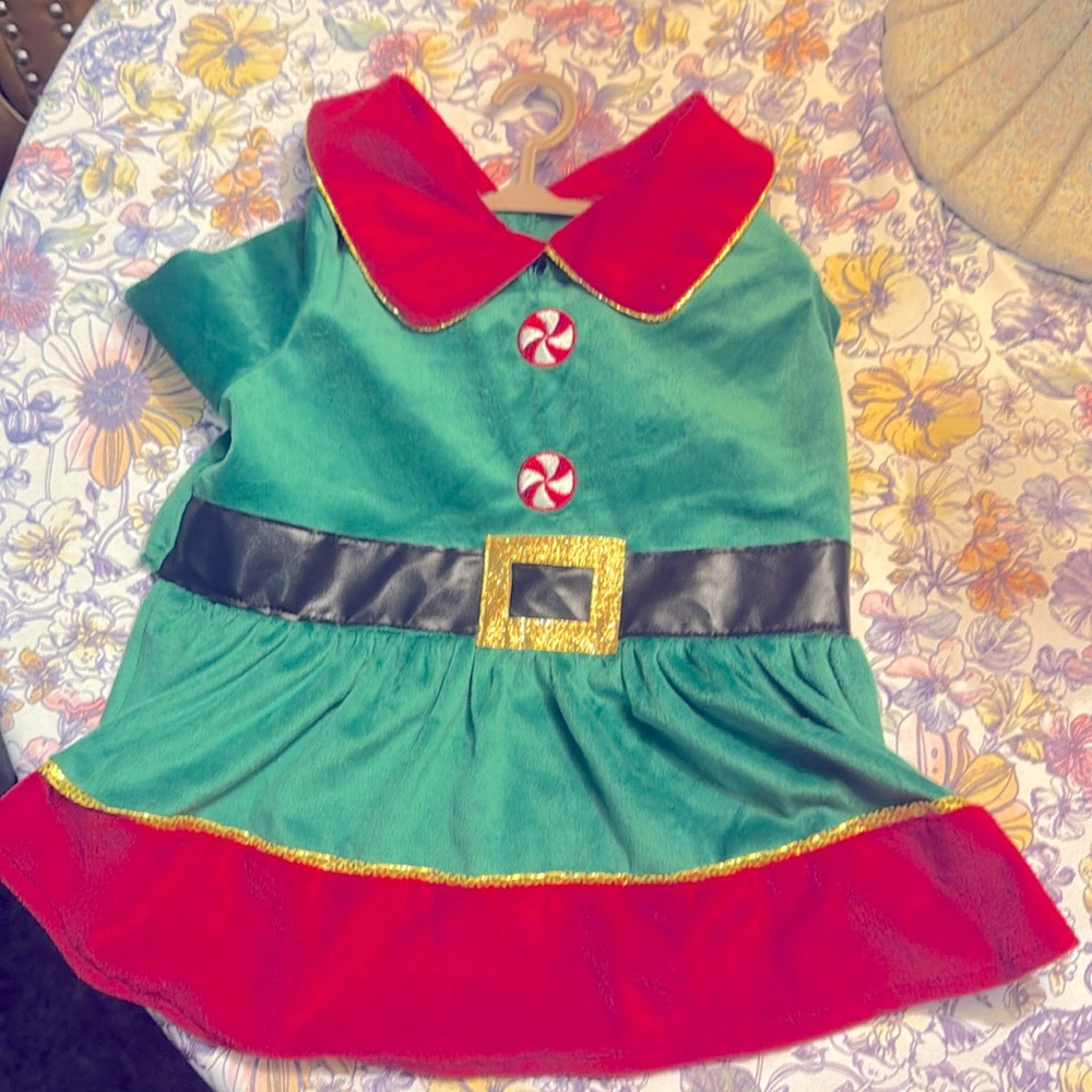 Medium elf costume for dogs